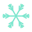 Pros icon
